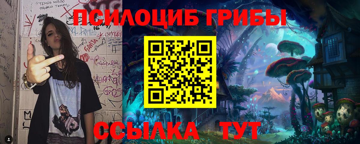 Псилоцибиновые грибы ЛСД Барнаул