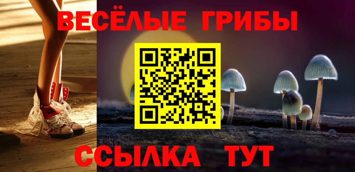 Галлюциногенные грибы Magic Shrooms  Вход с VPN  Барнаул  Галлюциногенные грибы Cubensis 
